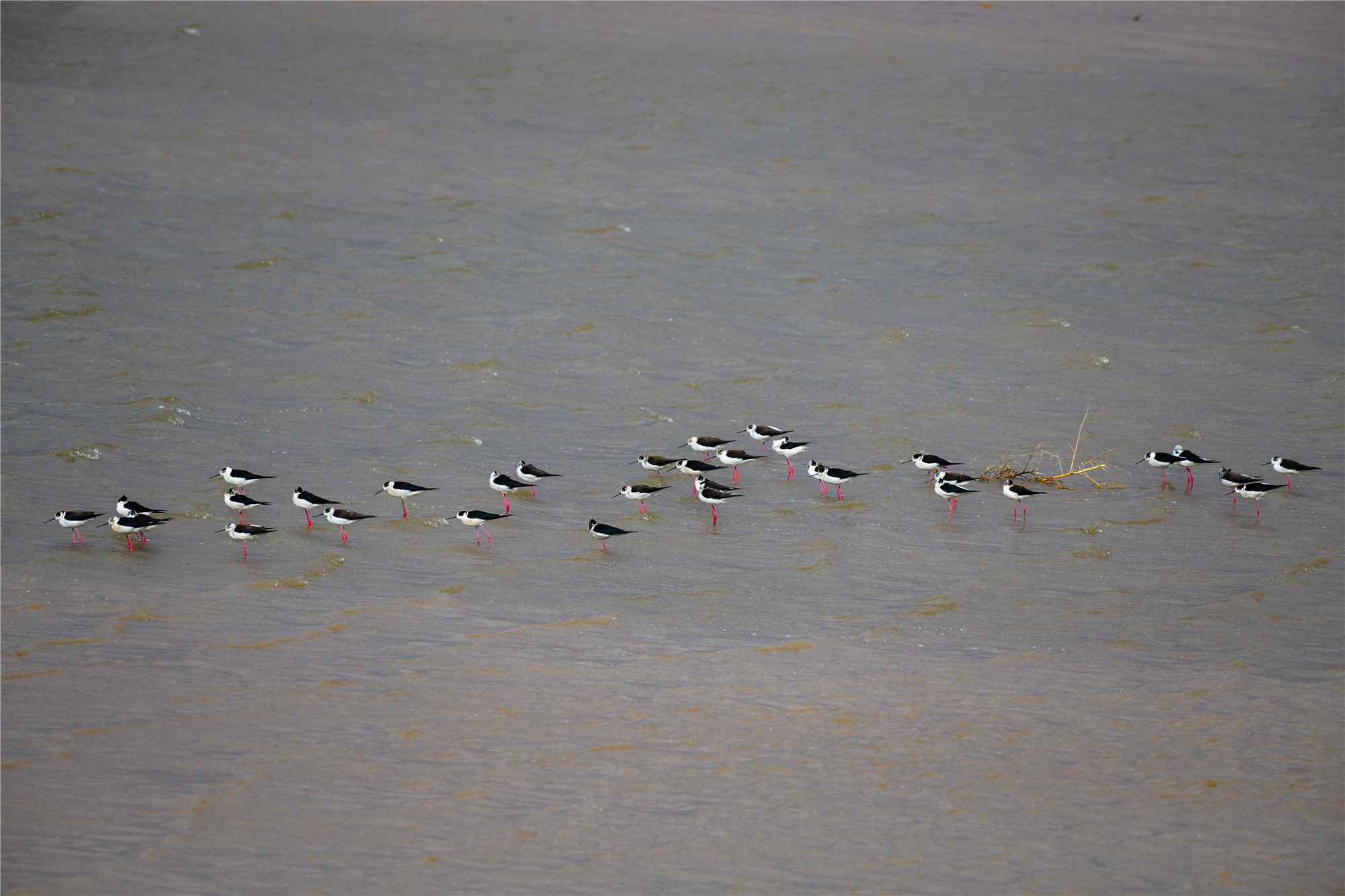 DSC_5715.jpg