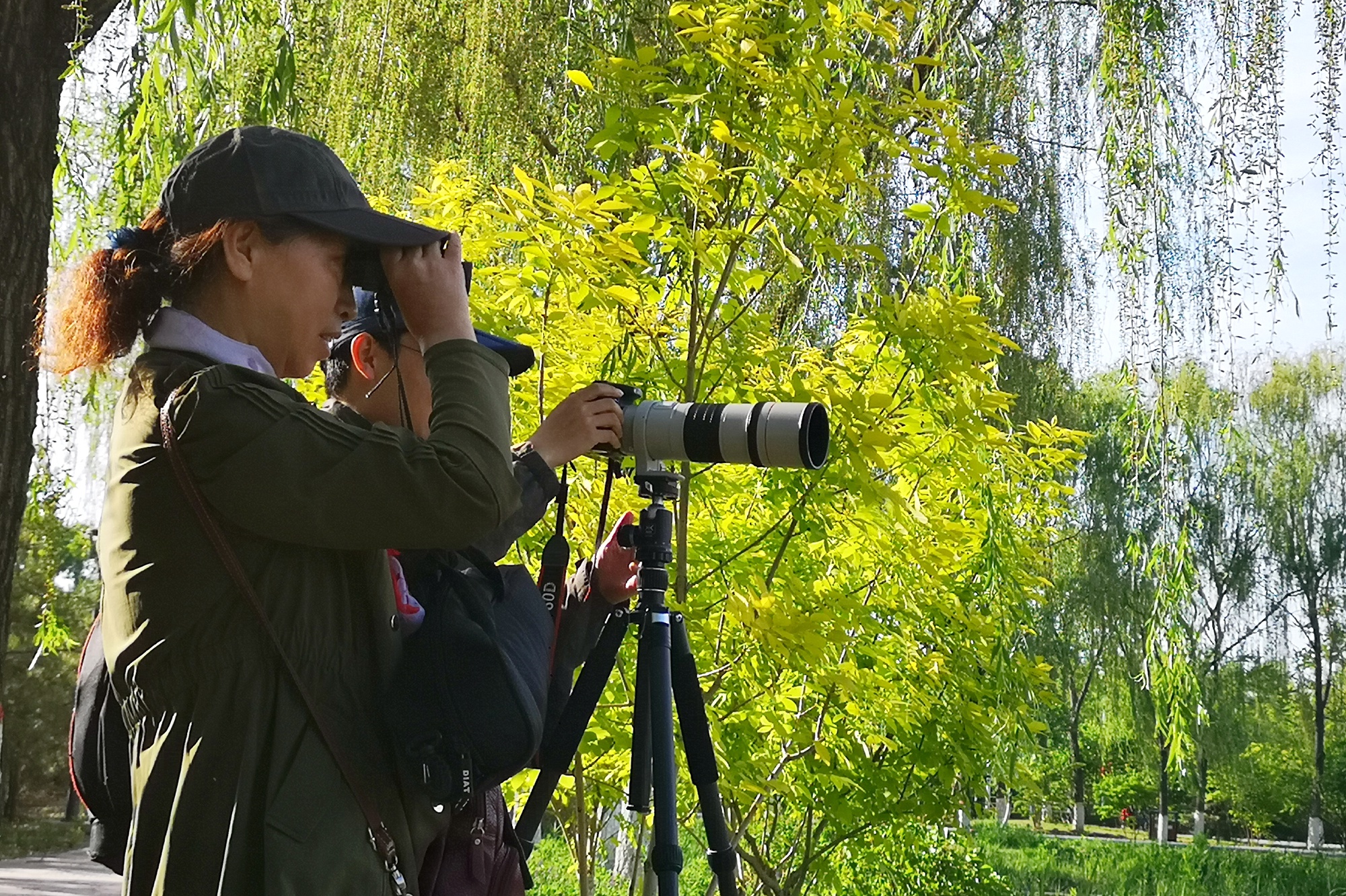 IMG_20190520_174254_1_副本.jpg IMG_20190520_174254_1_副本.jpg