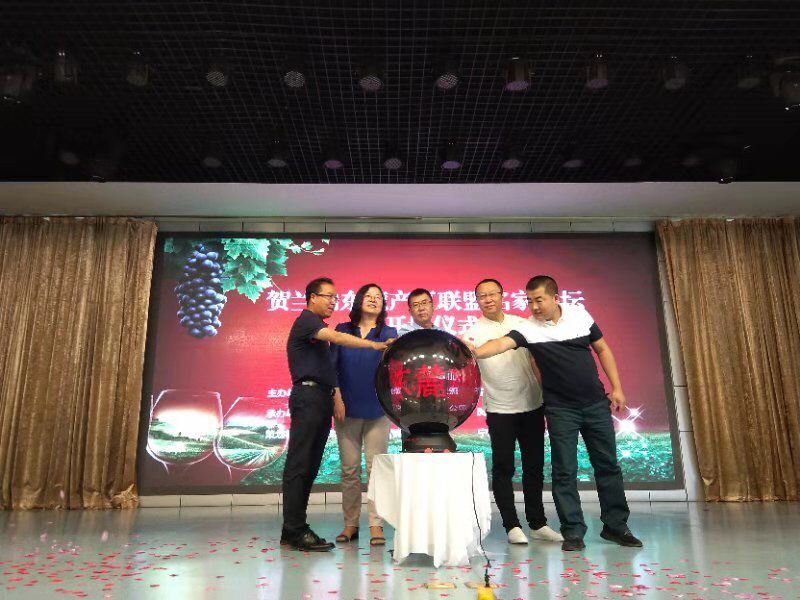 QQ图片20190708160818.jpg