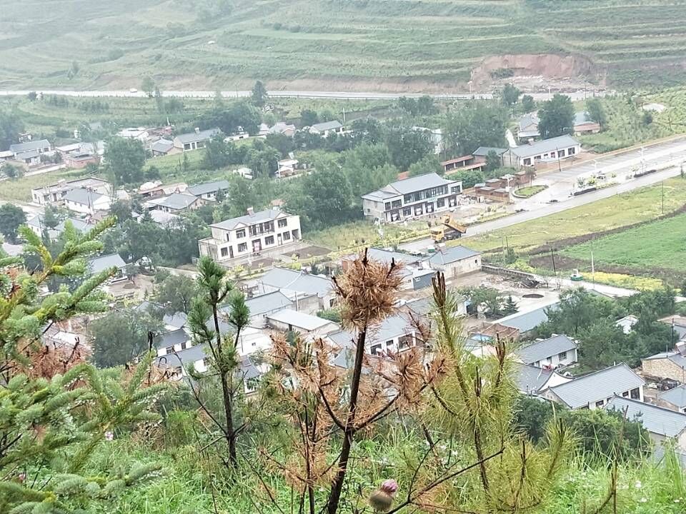 点赞新宁夏!泾源县杨岭村:小山村的翻天巨变