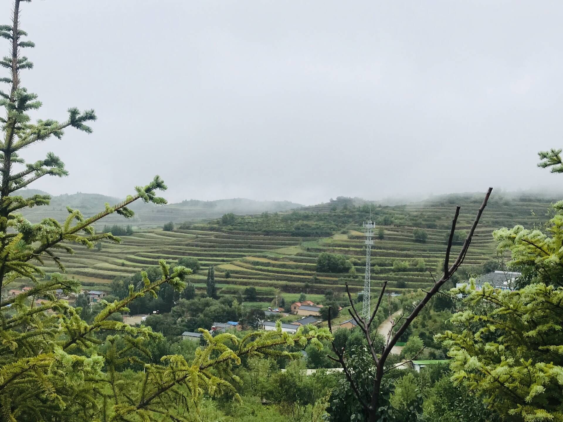 QQ图片20190823153954.jpg QQ图片20190823153954.jpg