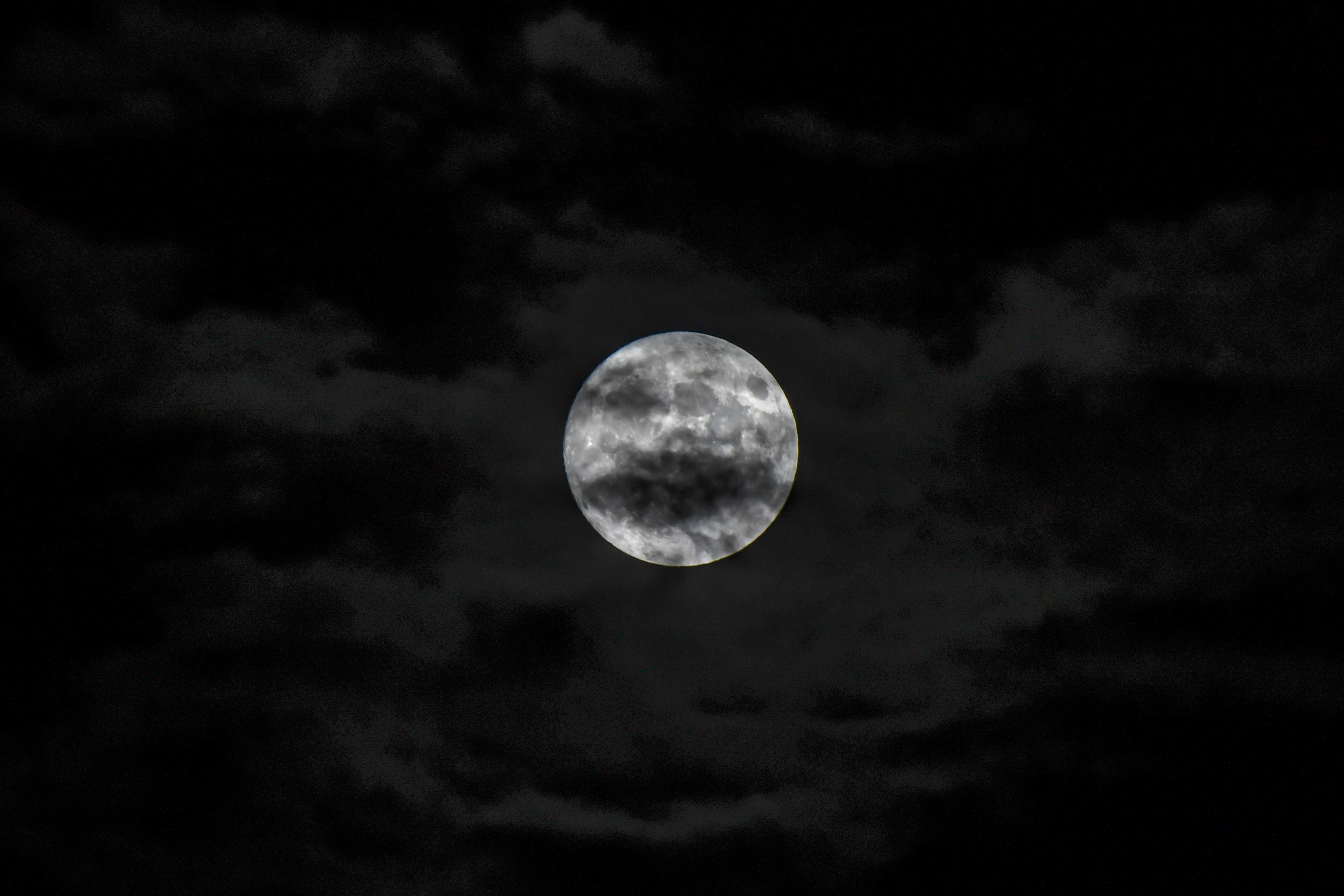 DSC_6713.jpg DSC_6713.jpg