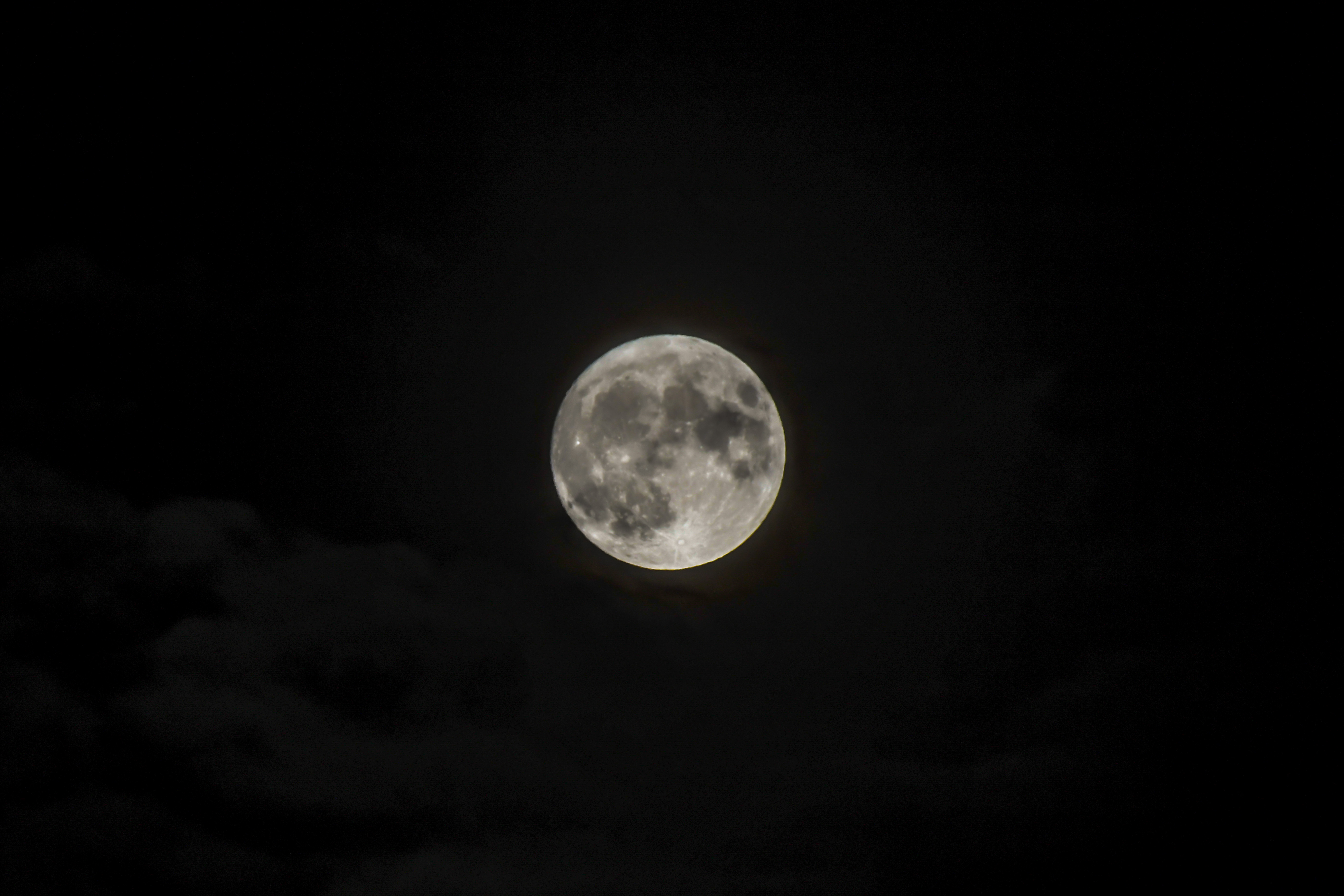 DSC_7007.jpg DSC_7007.jpg