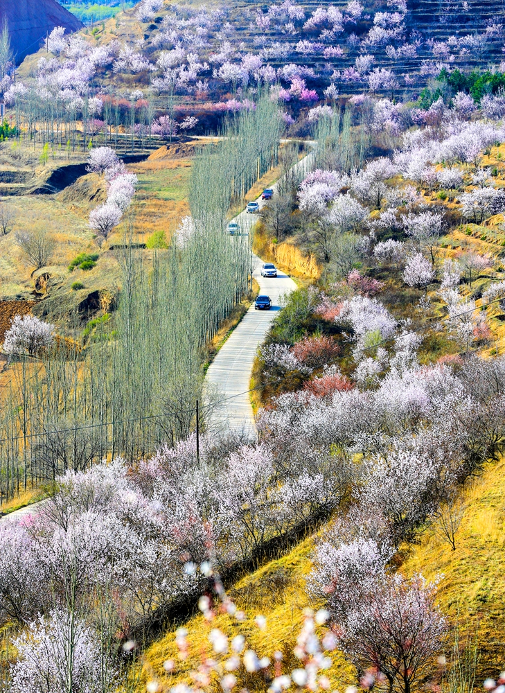 8固原市彭阳县韩(寨)财(神崾岘)公路.jpg 8固原市彭阳县韩(寨)财(神崾岘)公路.jpg