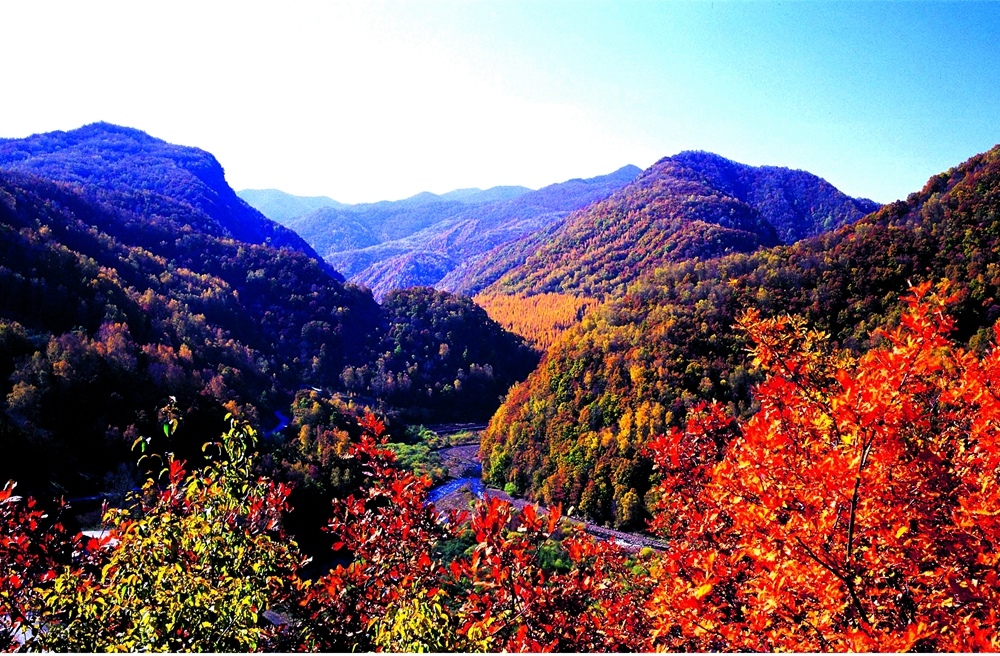 11月份--秋日六盘山.jpg