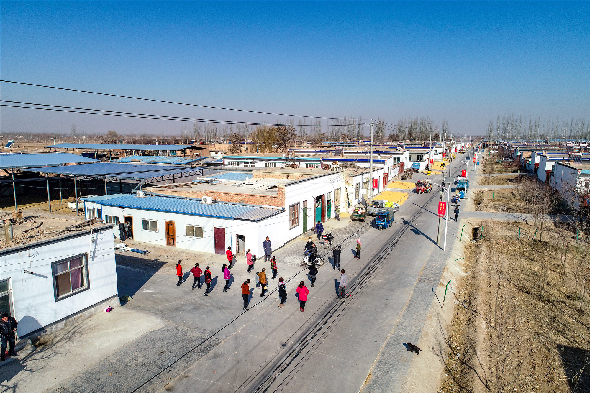 DJI_0133.jpg