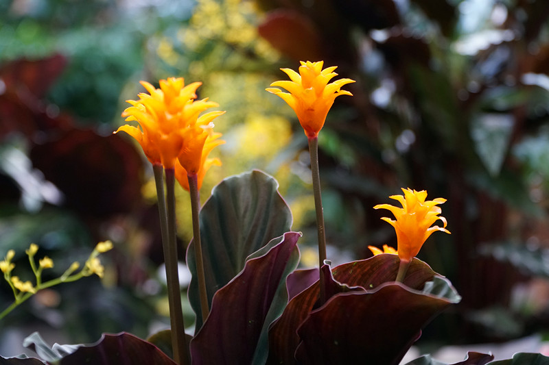 DSC00303_副本.jpg