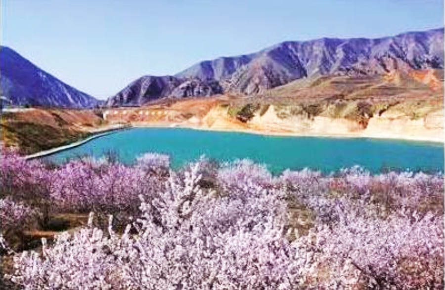 须弥山桃花 (2).png