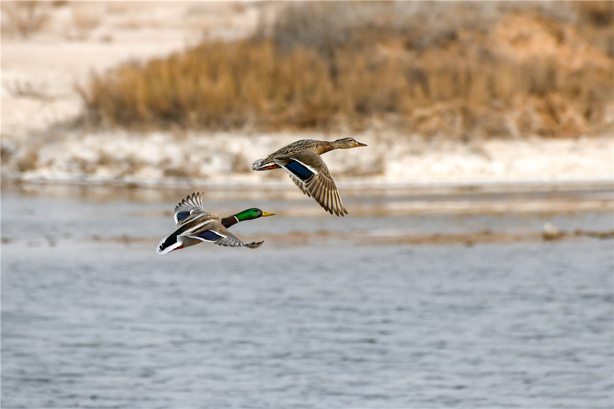 DSC_2949.jpg