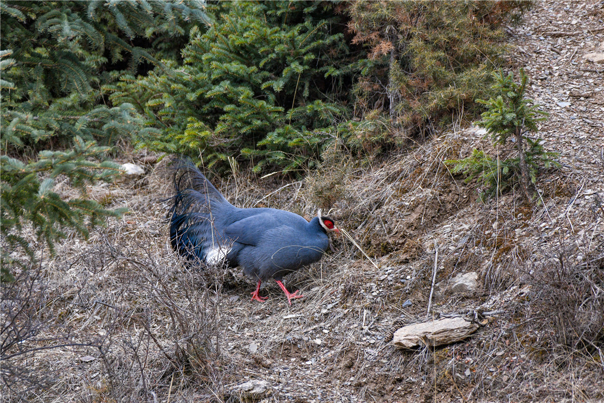 DSC_8298.jpg