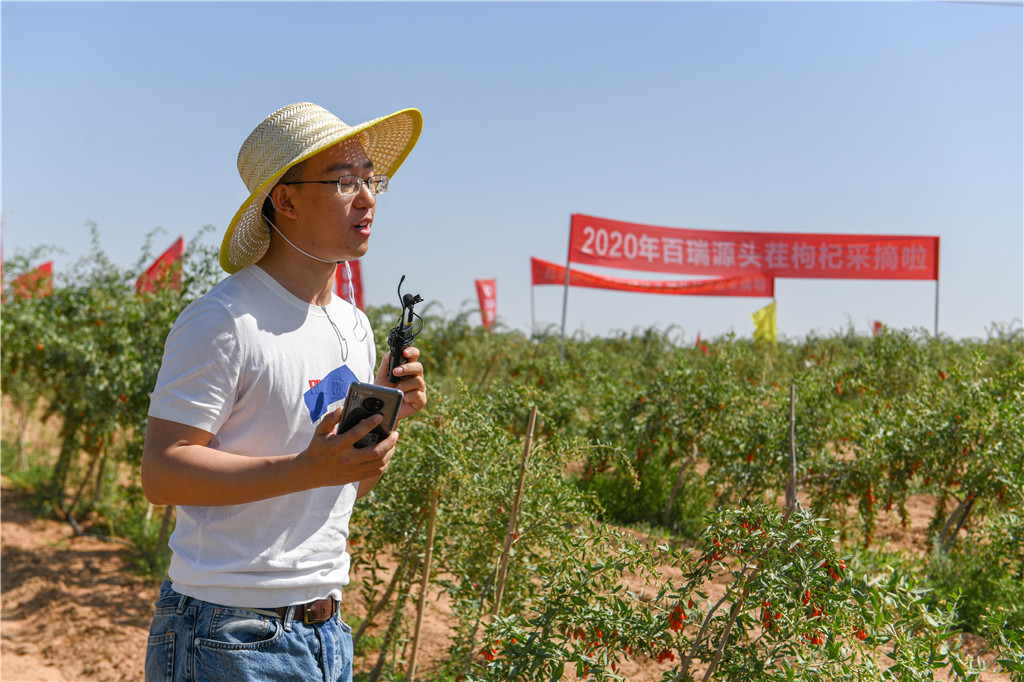 DSC_2636.jpg DSC_2636.jpg