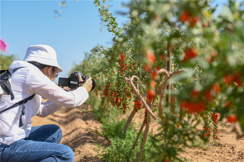 DSC_2597.jpg DSC_2597.jpg