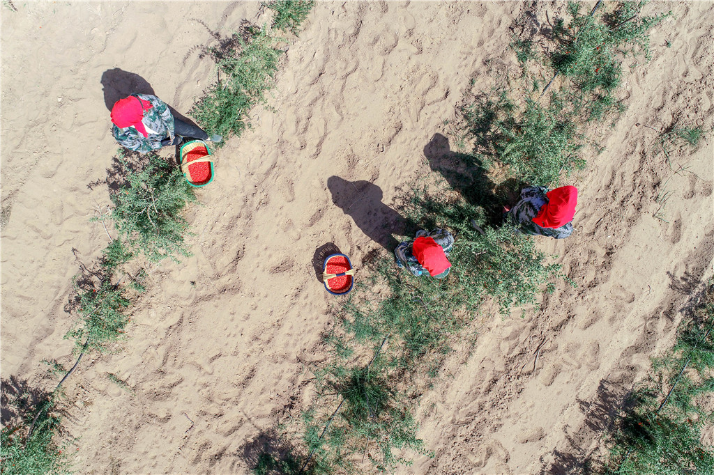 DJI_0032.jpg DJI_0032.jpg