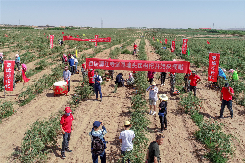 DJI_0021.jpg DJI_0021.jpg