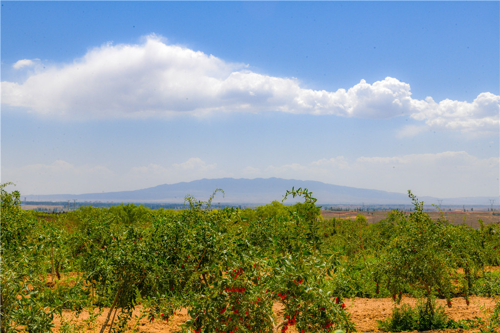 DSC_2961.jpg DSC_2961.jpg