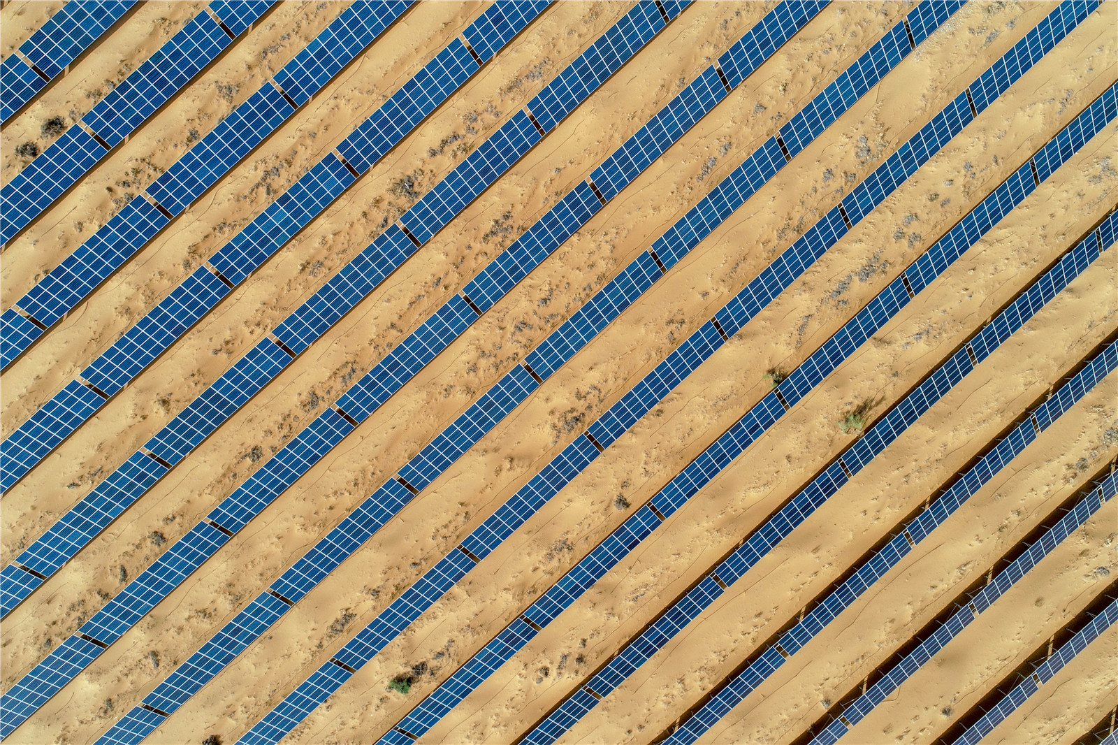 DJI_0465.jpg
