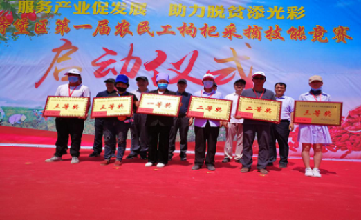 技能大赛|红寺堡区举办首届农民工枸杞采摘技能竞赛