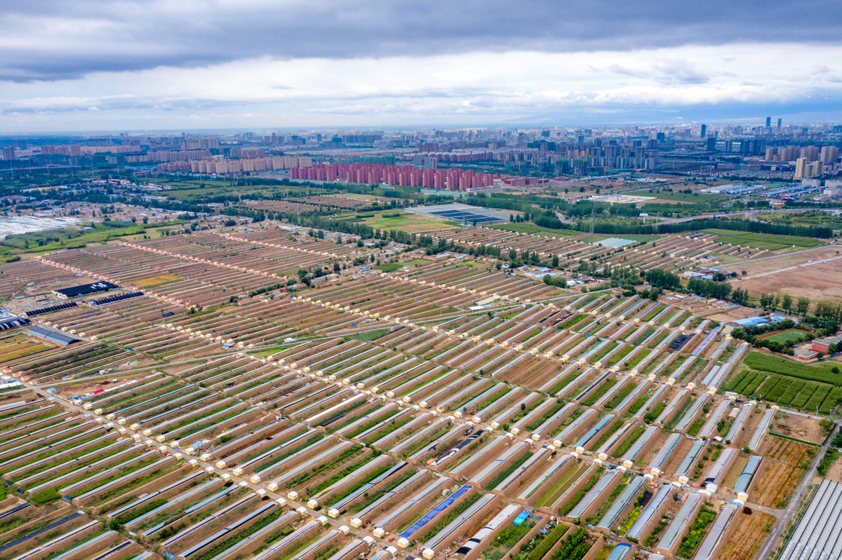DJI_0572.jpg