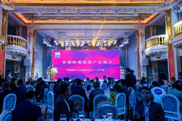 按下“快进键”跑出“加速度”！ 青铜峡葡萄酒产区在成都大放异彩