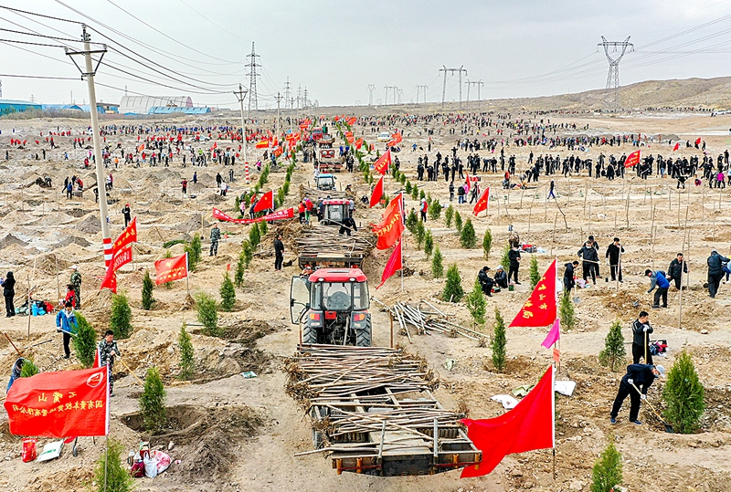石嘴山市5000余名干部职工贺兰山下义务植绿