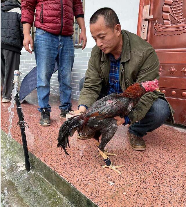 QQ截图20210419220223.jpg