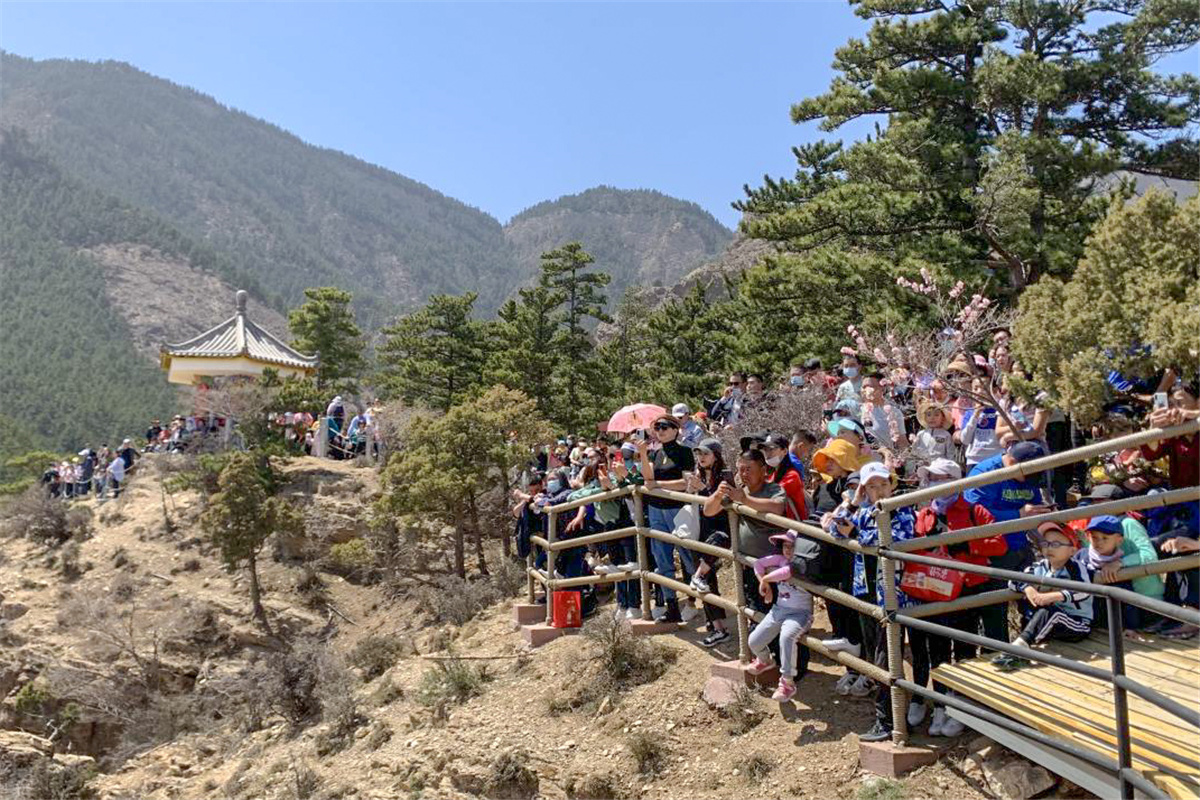 贺兰山国家森林公园“五一”游客接待量恢复至2019年同期