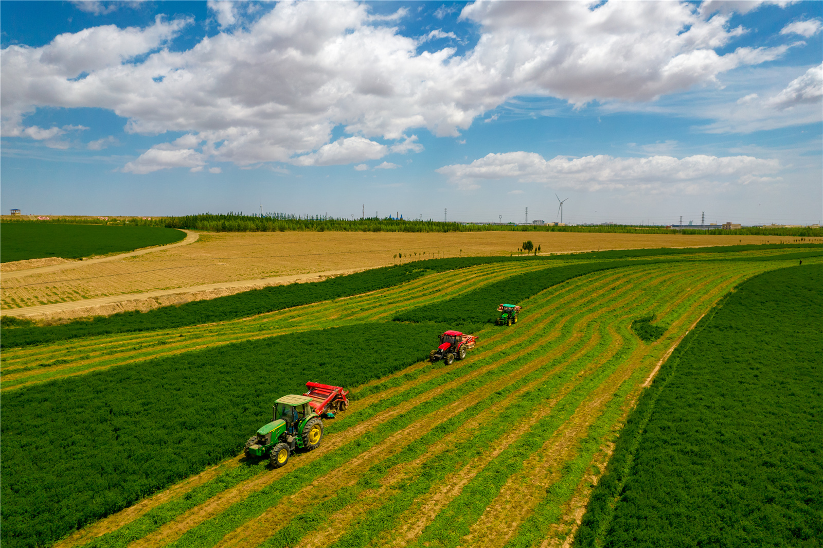 DJI_0486.jpg