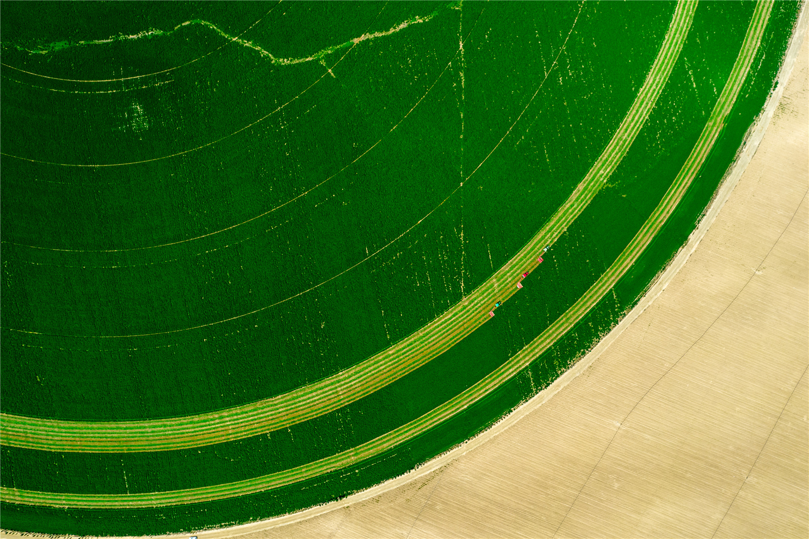 DJI_0437.jpg