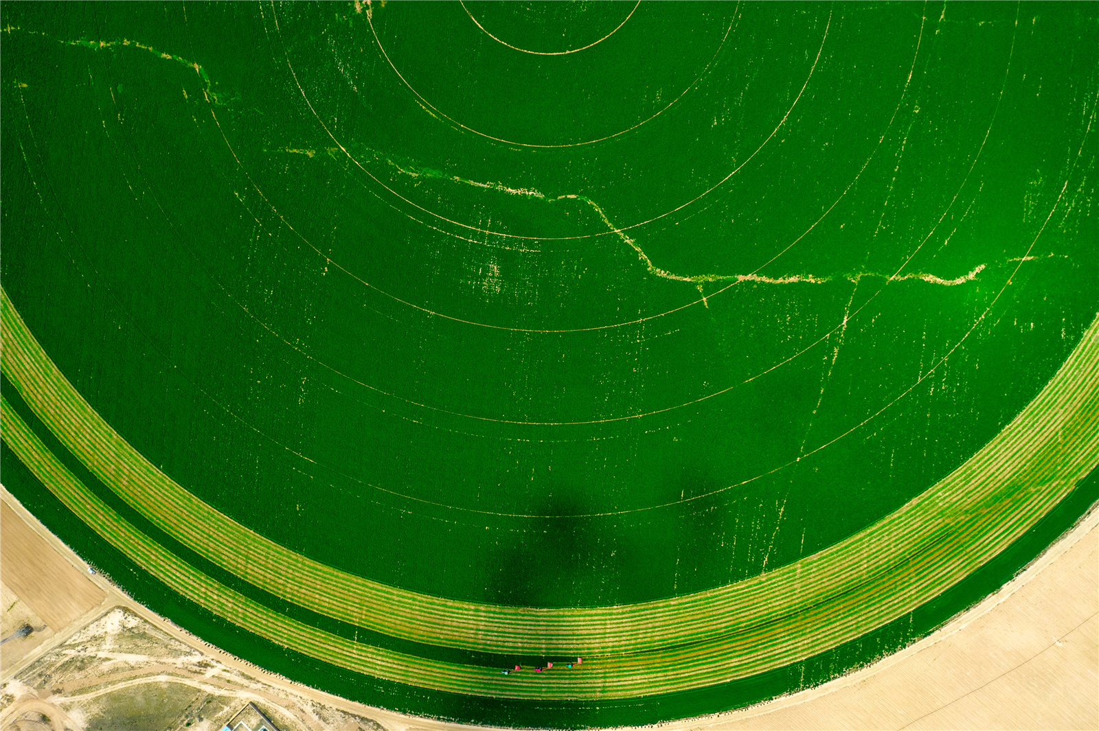 DJI_0519.jpg