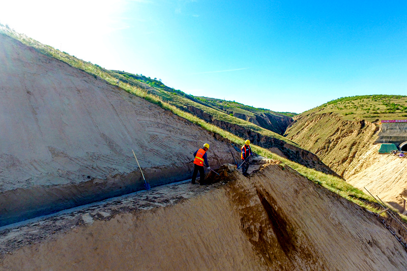 mmexport1622797263319.jpg mmexport1622797263319.jpg