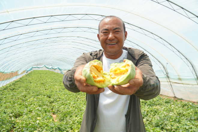 盐池县青山乡第二届“香瓜节”启幕