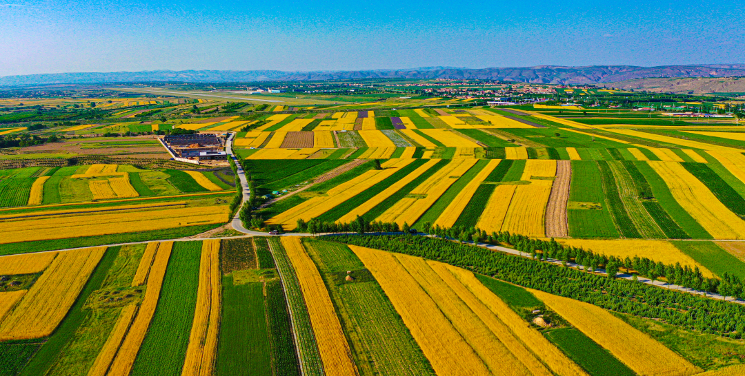 组图 | 六盘山下好风光——夏日田园美景如画