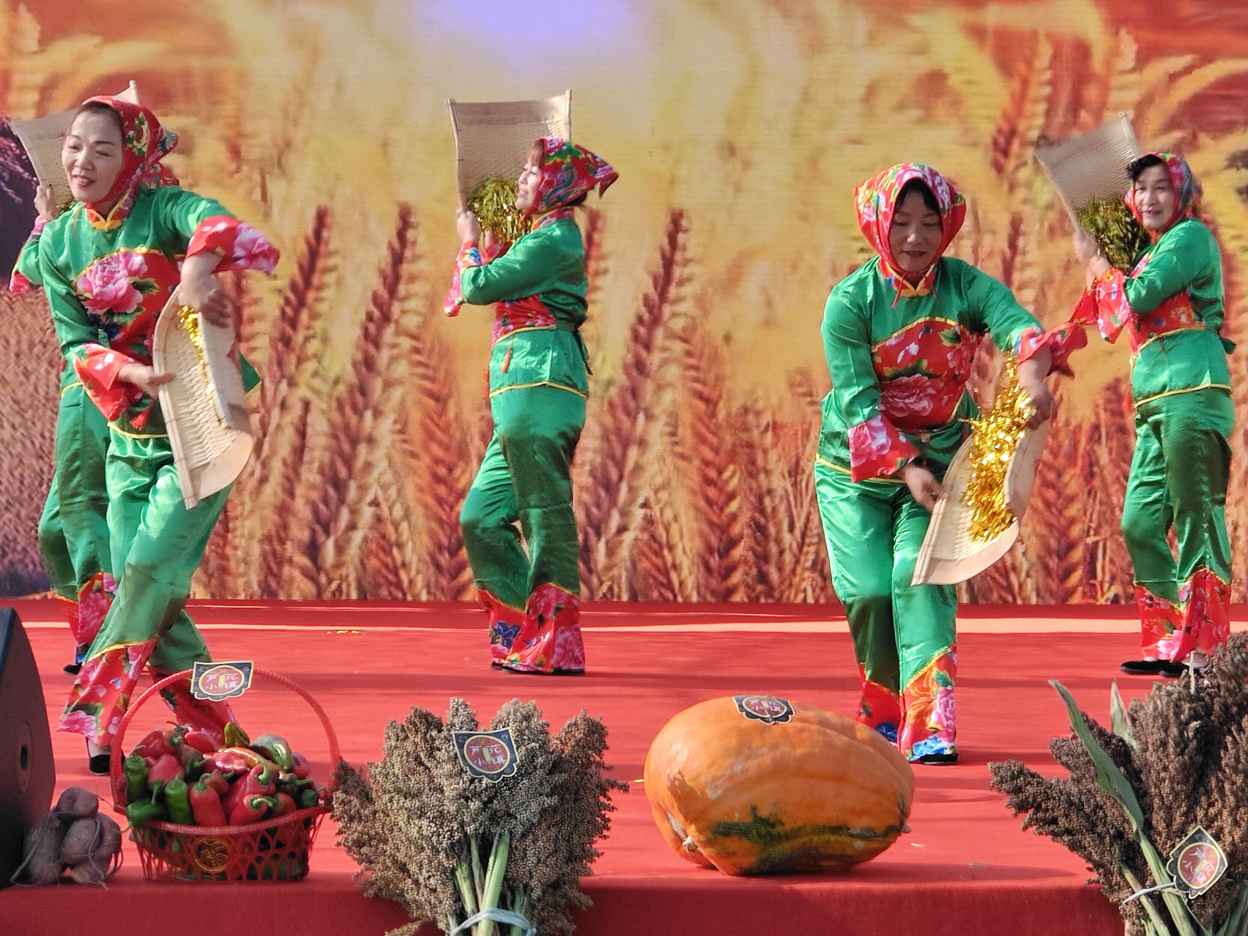 银川市西夏区庆祝第四届中国农民丰收节