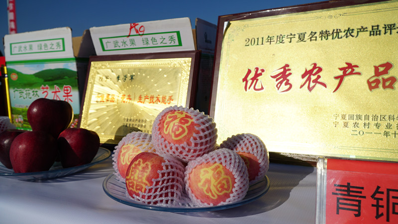 DSC08935_副本.jpg