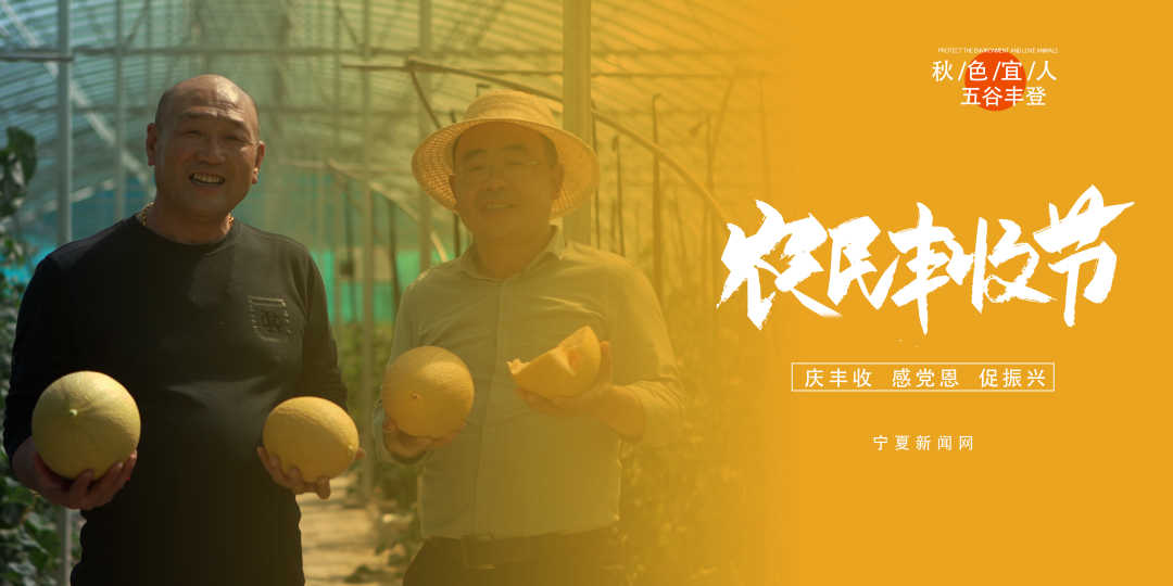 中国农民丰收节01.jpg