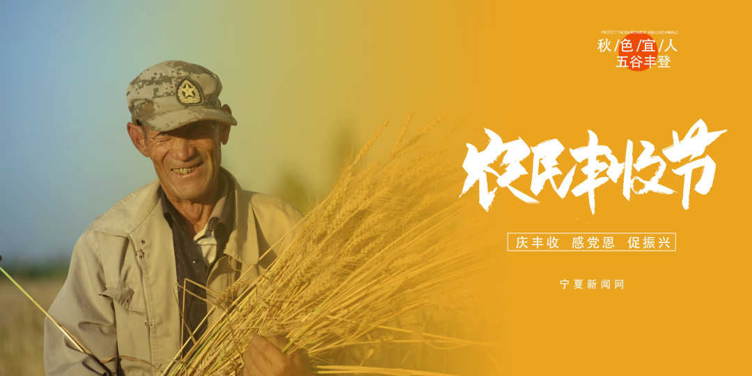 中国农民丰收节10.jpg