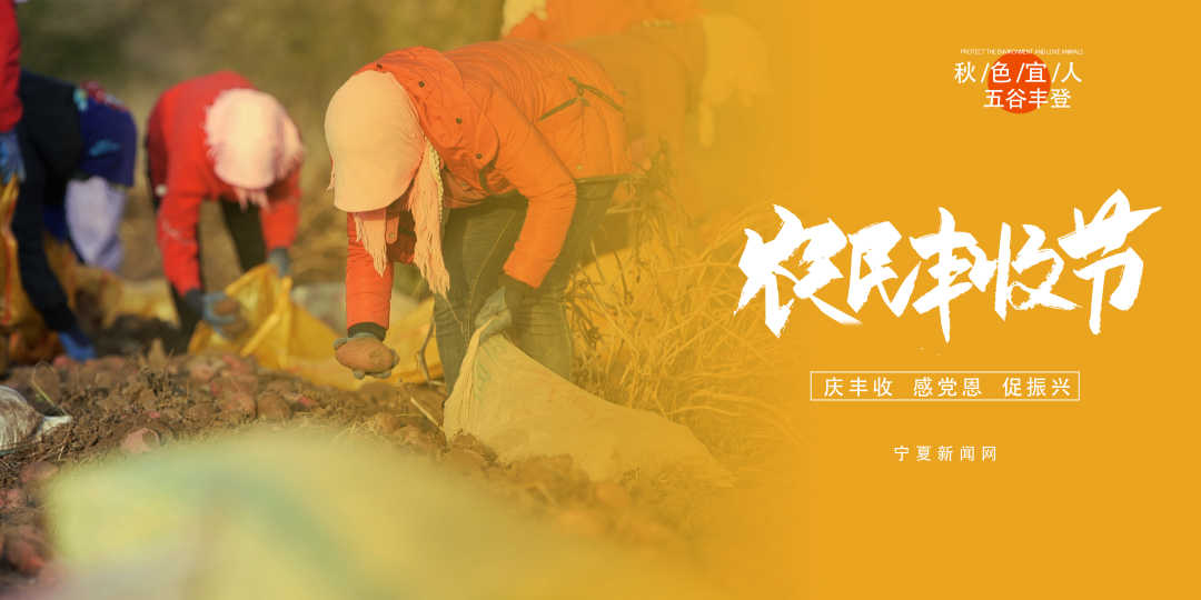 中国农民丰收节12.jpg