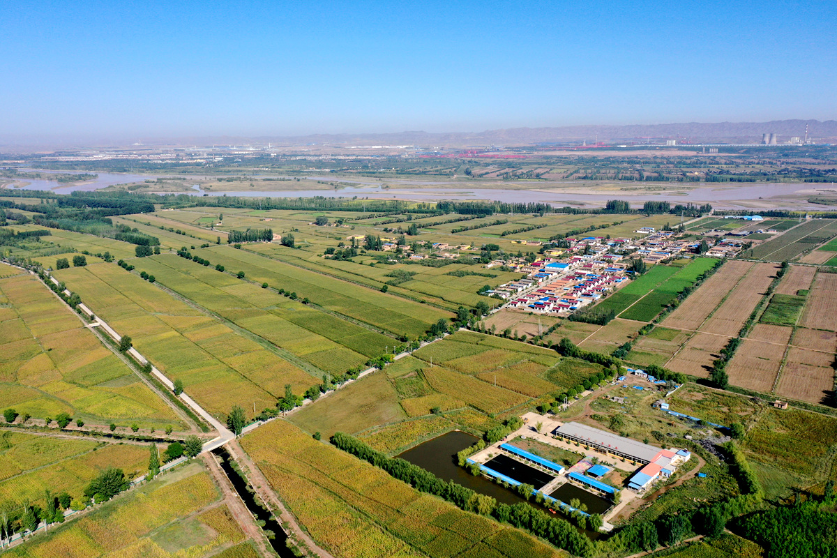 中鸣路：美丽乡村路助力绿色蔬菜走向全国