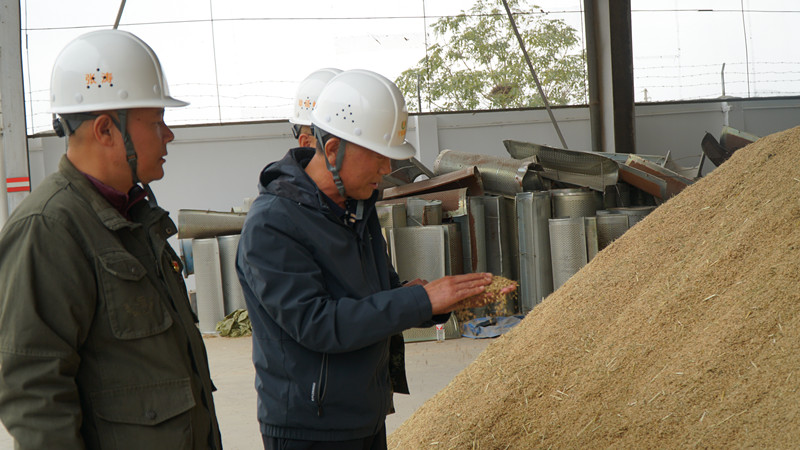 DSC09419_副本.jpg