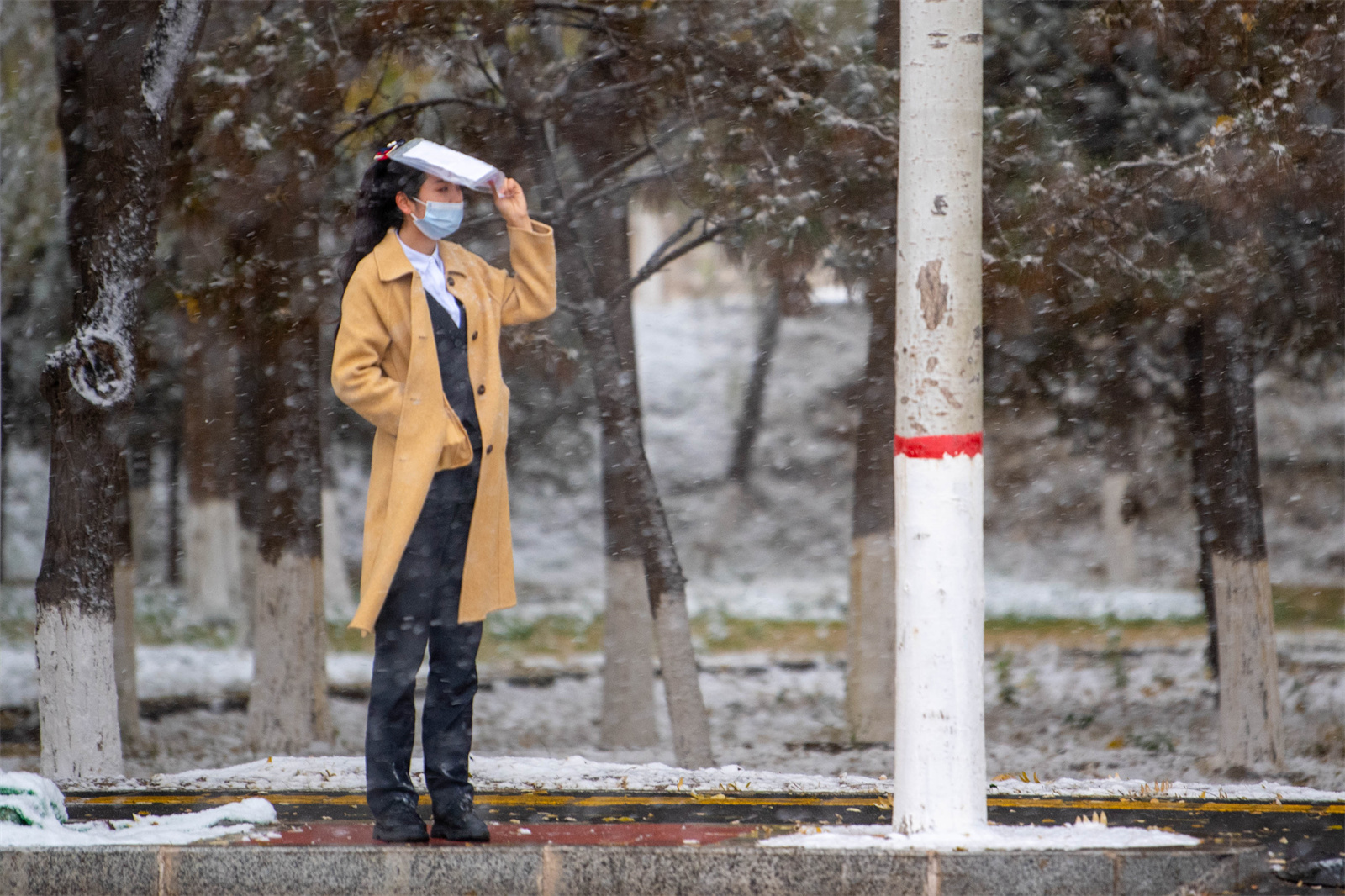 银川大雪纷飞！在2021年秋天的最后一天