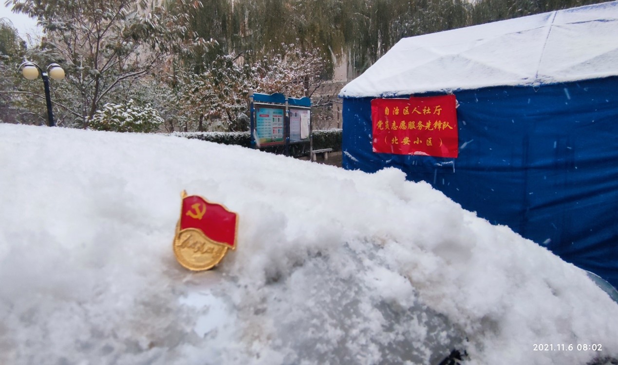 社区防控阵地有我在风雪中那枚闪光的党徽