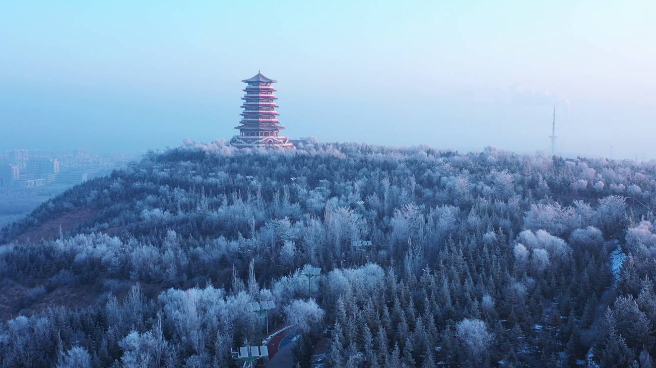 组图｜宁夏固原市出现雾凇景观 美不胜收