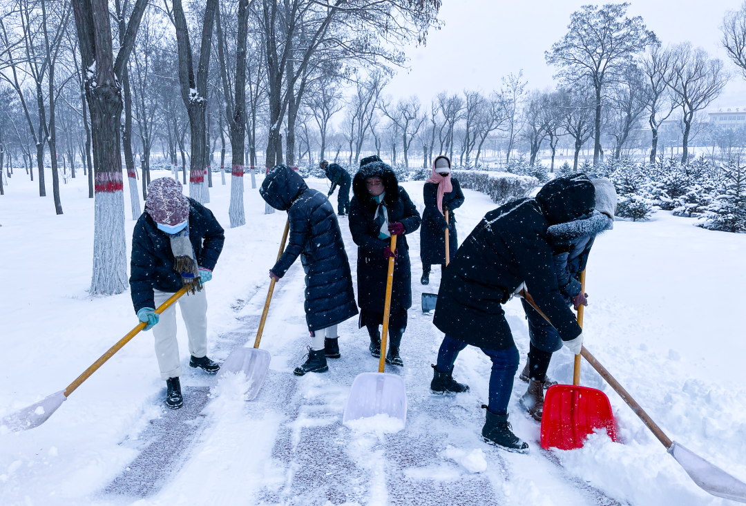 宁夏固原：大雪过后，园林工人全员上岗清理积雪