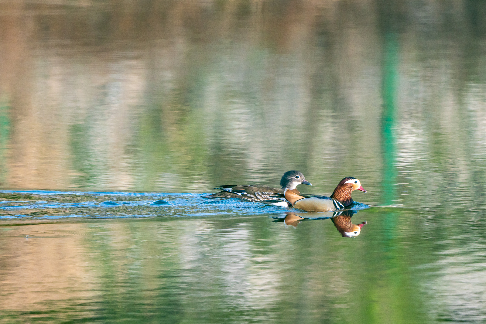 DSC_5587-ǿ.jpg