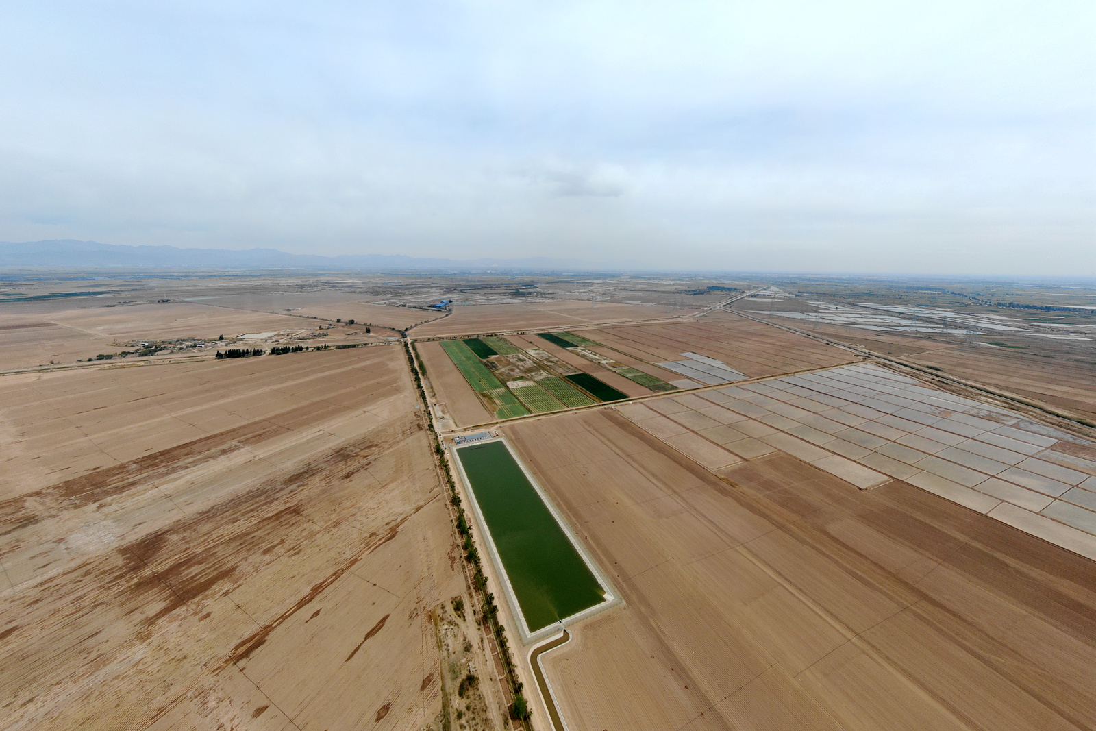 mmexport1652885953616.jpg mmexport1652885953616.jpg