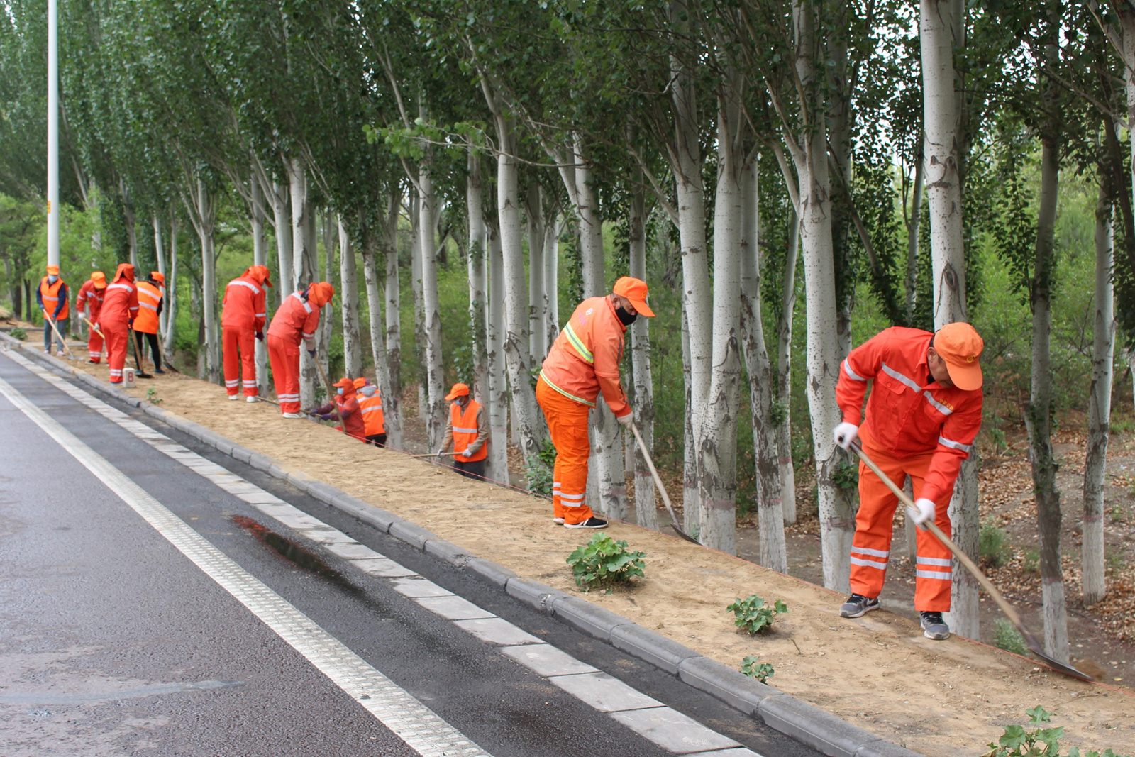 mmexport1654513917404.jpg mmexport1654513917404.jpg