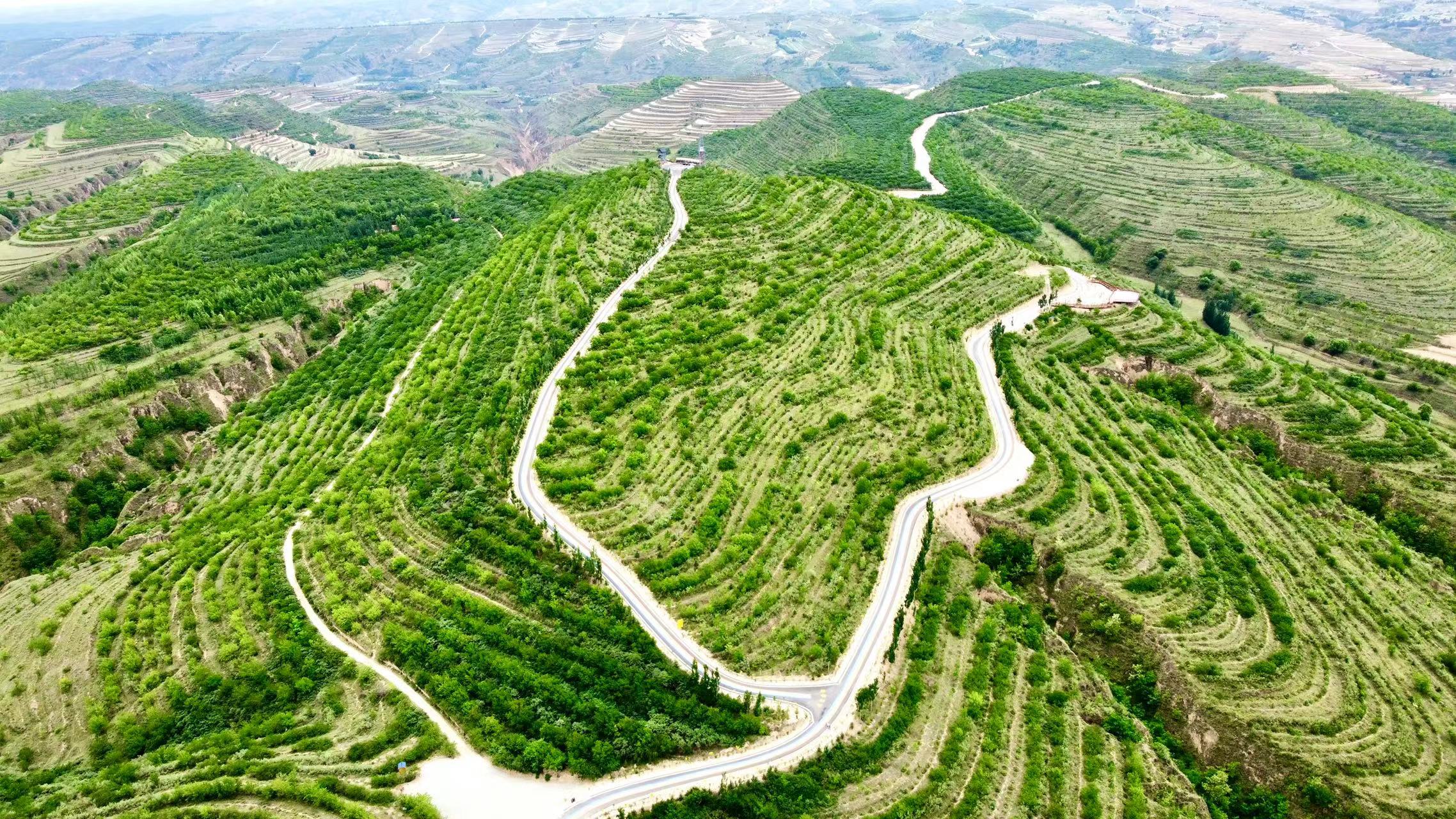 WechatIMG623.jpeg WechatIMG623.jpeg