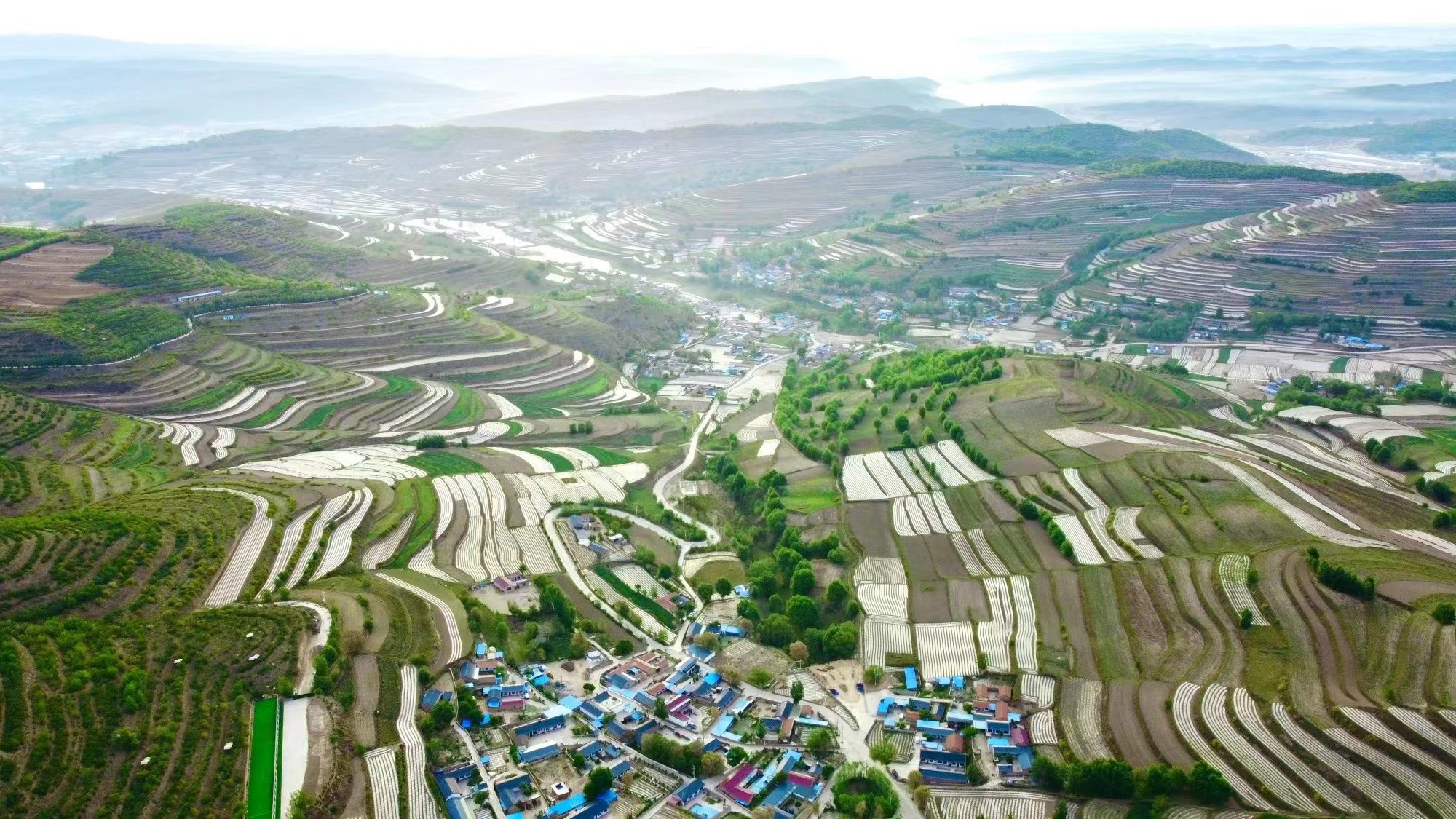 WechatIMG619.jpeg WechatIMG619.jpeg