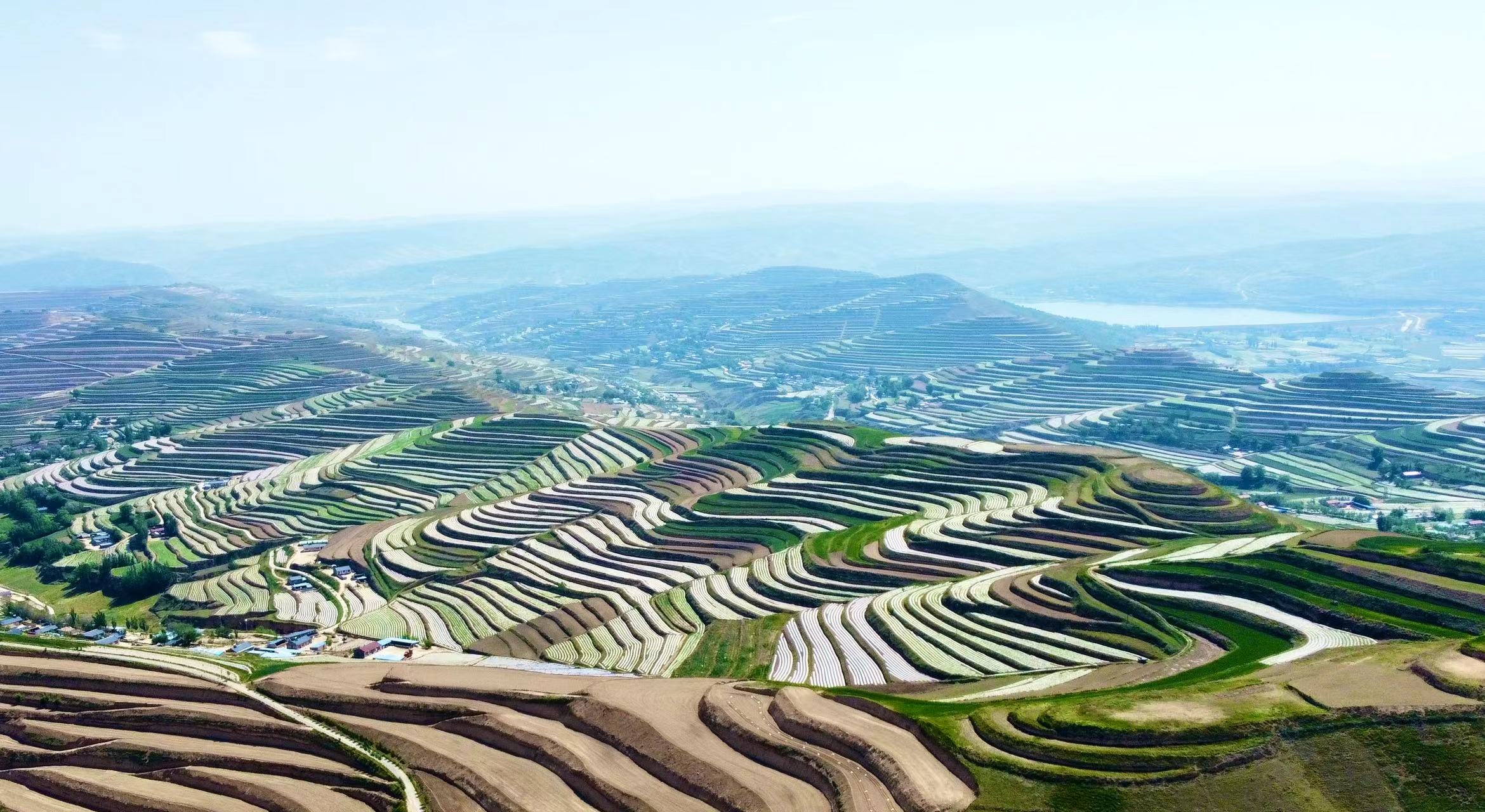 WechatIMG620.jpeg WechatIMG620.jpeg