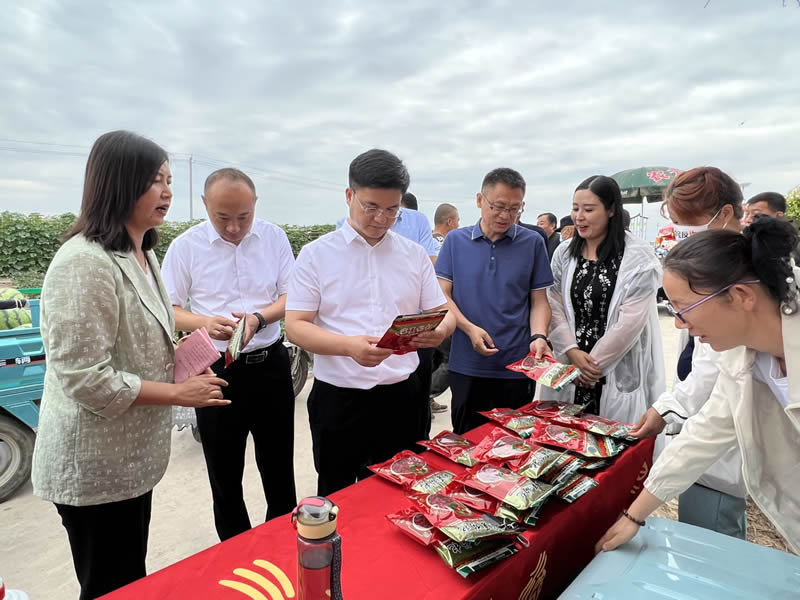 平罗县头闸镇“五彩种博园——裕民甜瓜电商助农文化节”启幕